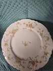 Hutschenreuther Selb LHS Bavaria 9"  Dinner Plates Set of 8 Pink Flowers
