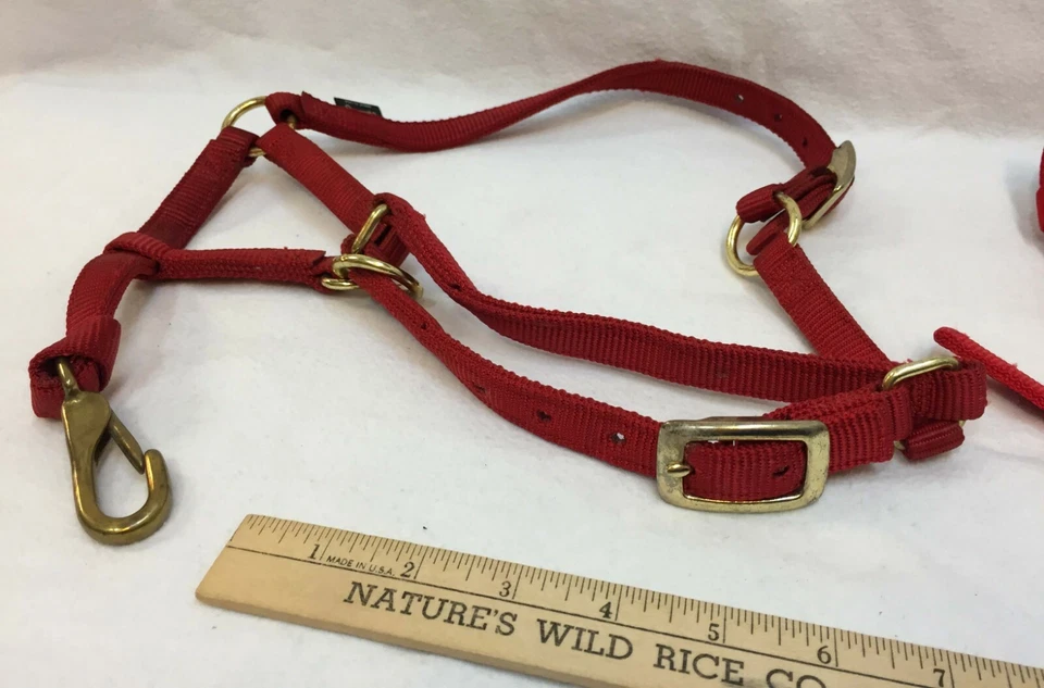 Lote de 2 hebillas de metal de doble capa de nailon rojo tejedor halter caballo pony y oveja Foto 3 de 4
