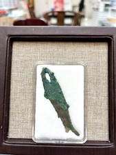 Pre-Qin Dynasty Fish-shaped Ancient Coins