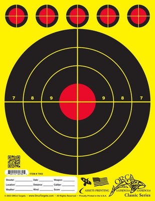 100 TARGETS! $16.75   Limited Time Offer! FREE SHIPPING!