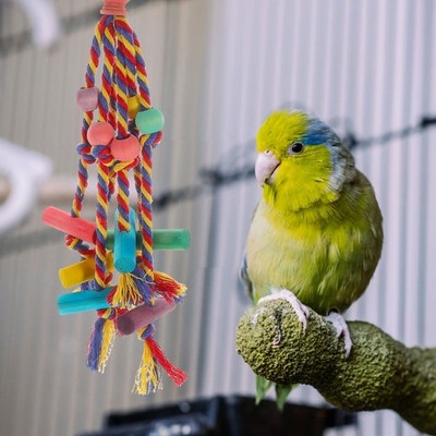  Papageien Spielzeug Vogeltrainingsspielzeug Haustier -Kauspielzeug