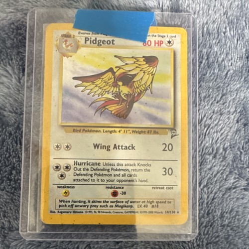 Pidgeot