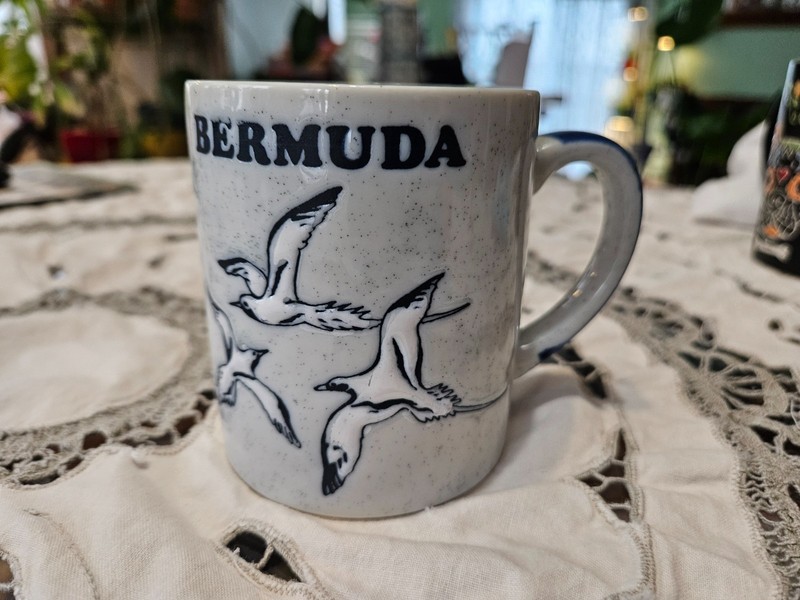 Bermuda Long tail birds Seagulls Embossed Speckled blue gray Coffee Mug Tea Cup