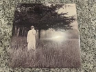 Taylor Swift Folklore Hide and Seek (Limited Edition Deluxe) (Vinyl)