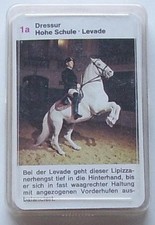 Pferdesport-Quartett Kartenspiel