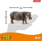Imagen 3 de 6