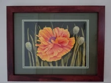 Watercolor: Orange poppy