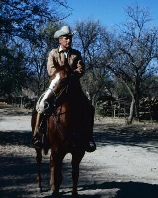 Paul Newman rides his horse Butch Cassidy and the Sundance Kid 11x17 Poster