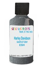 Paint Touch Up For Harley Davidson motor cyles GAUNTLET GRAY ESH 30ml