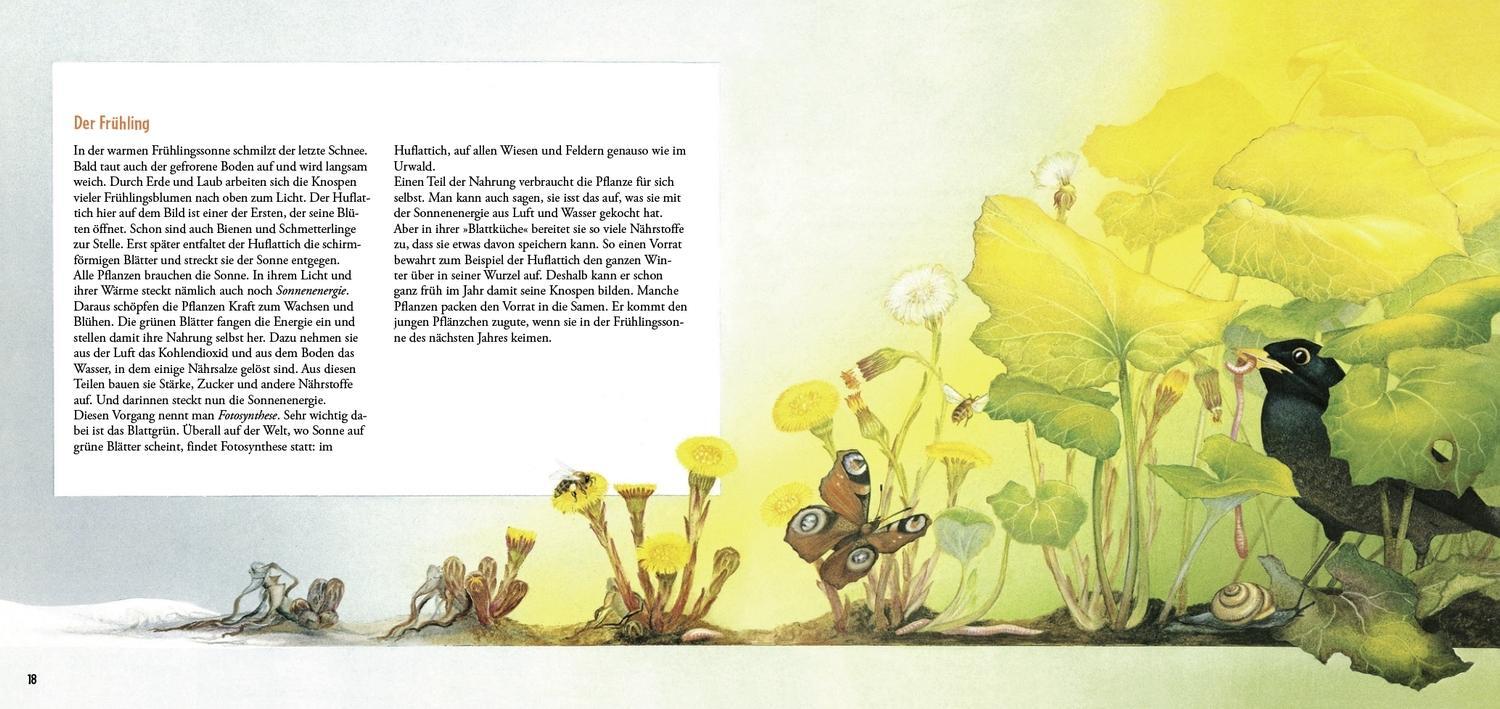 Thumbnail - Die Blühende Natur-uhr Una Jacobs