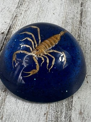 Scorpion Paperweight Lucite Acrylic glitter Blue