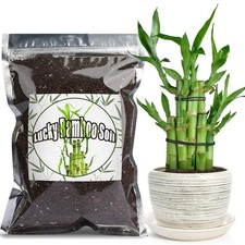 Premium Lucky bamboo Soil Mix 4L, Indoor Plants Potting Mix Health and Longevity