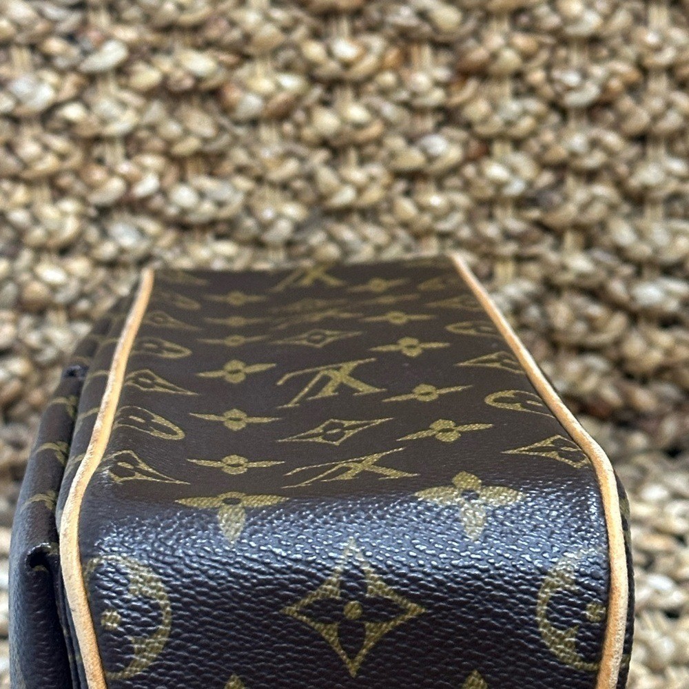Louis Vuitton Viva Cite MM image 9