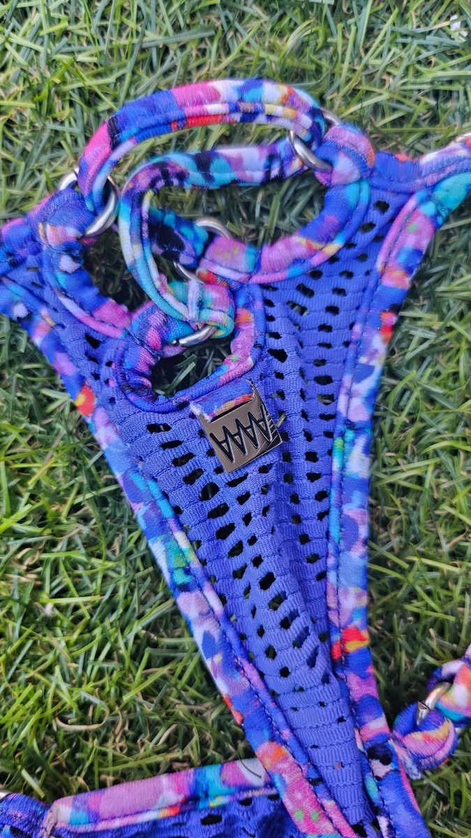 Wicked Weasel Sheer Vibrant Blue Mega Mesh Micro Bikini Set - Size