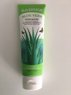 aloe vera bester standort Aloe Vera Alfonso  Aloe-Vera-Pflanze in Grtnerqualitt kaufen