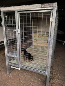 custom dog cages