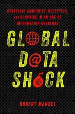 Robert Mandel Global Data Shock (Hardback) (UK IMPORT)