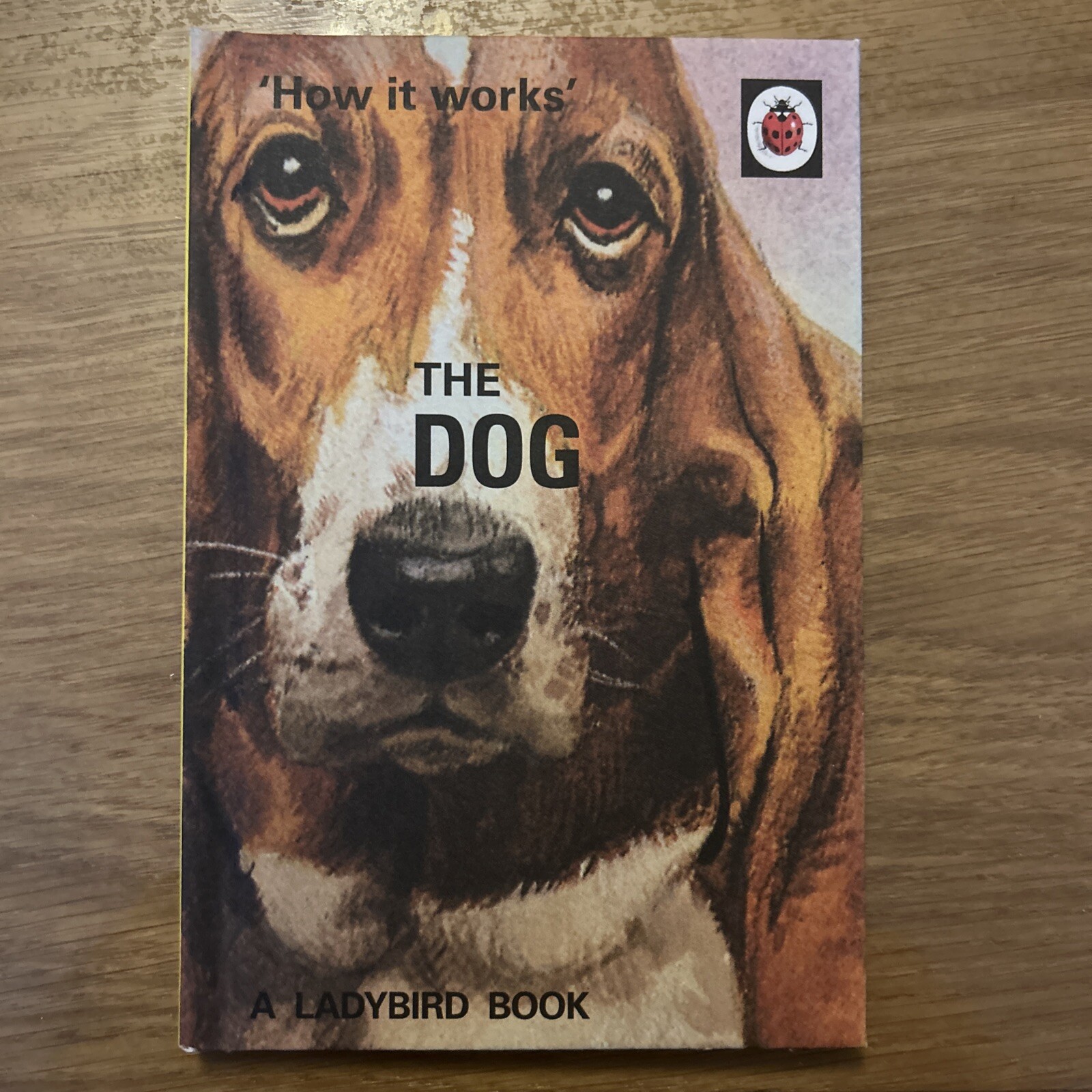 How it Works: The Dog by Joel Morris, Jason Hazeley (Hardcover, 2016)