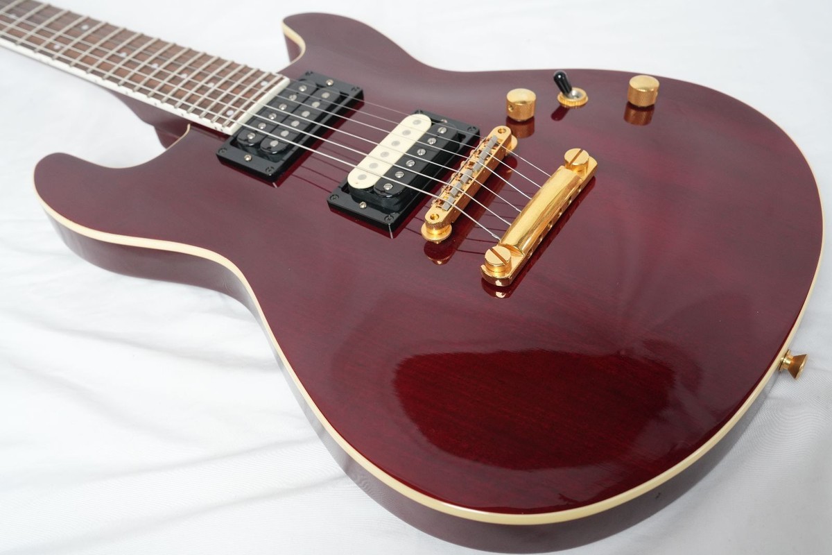 Fernandes APG-55 Wine Red Electric Guitar Mahogany Maple Neck