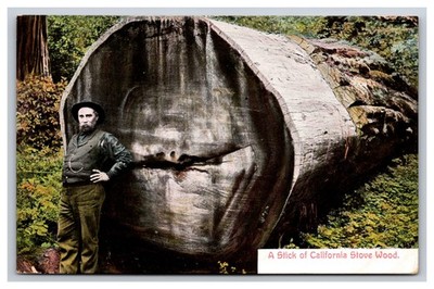 Man Posing With Giant Log, A Stick Of California Stove Wood CA Postcard