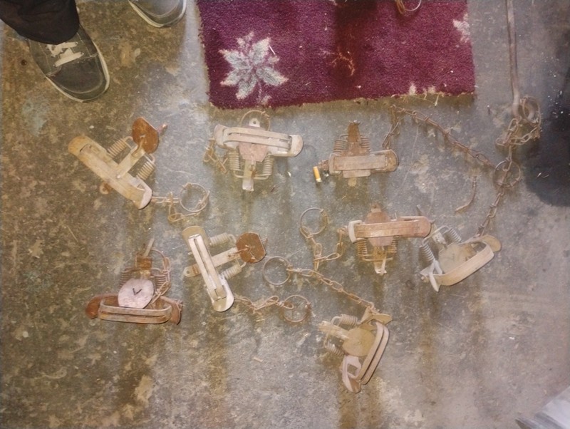 Vintage Traps Victors 1,2,And Spring