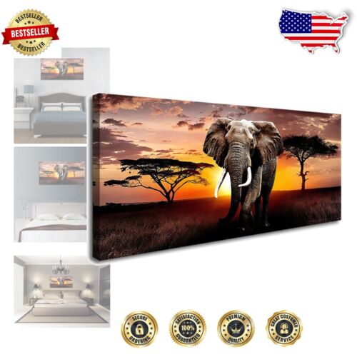 High-Definition Elephant Canvas Wall Art - 24x48 - Perfect for Home Decor