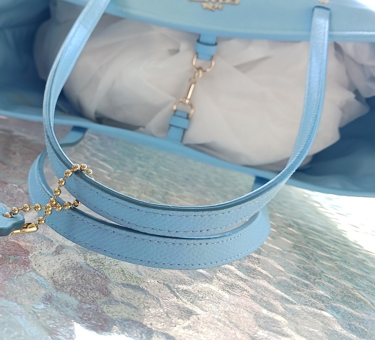 Coach F3499 Sky Blue Taxi Leather Tote w/Dog Leash Closure | eBay