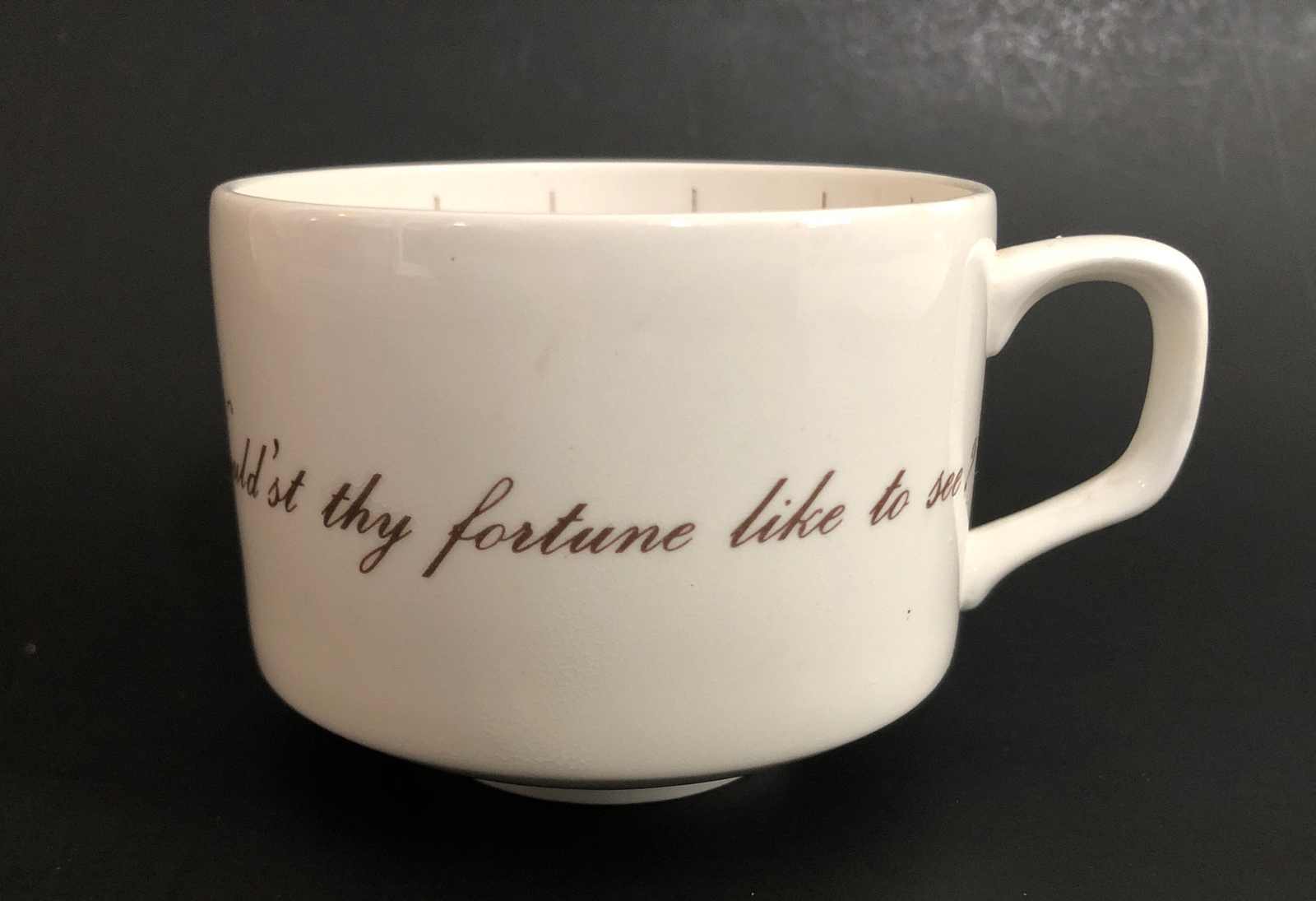 Fortune Telling Tea Cup (No Saucer) Jon Anton Taltos Ironstone Made In