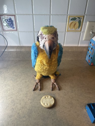Hasbro FurReal Friends SQUAWKERS MACAW Parrot Interactive Bird NOT WORKING READ!