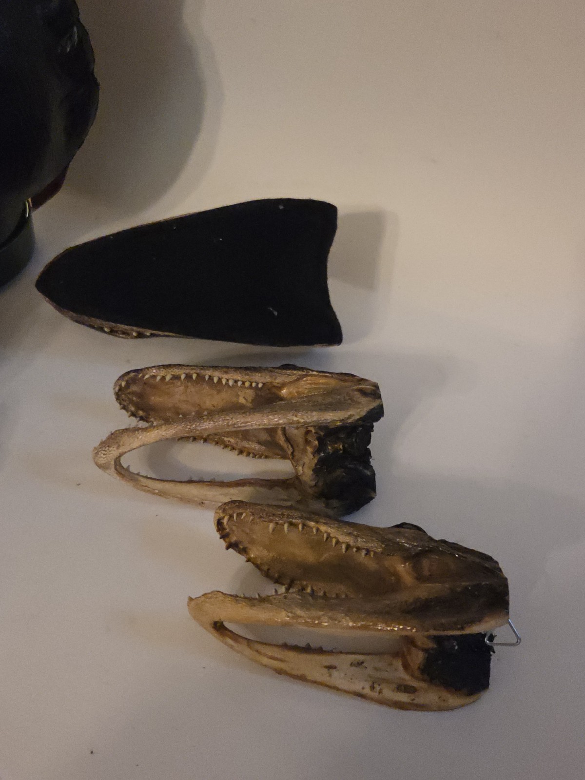 Vintage Trio Real Alligator Heads