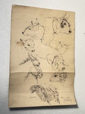 DISEGNO SU CARTA SPESSA (CARTONCINO) FIRMA NELLA PARTE BASSA DRAWING ON PAPER