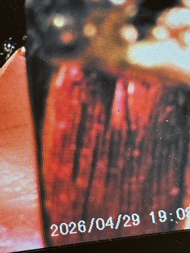 Image thumbnail 22