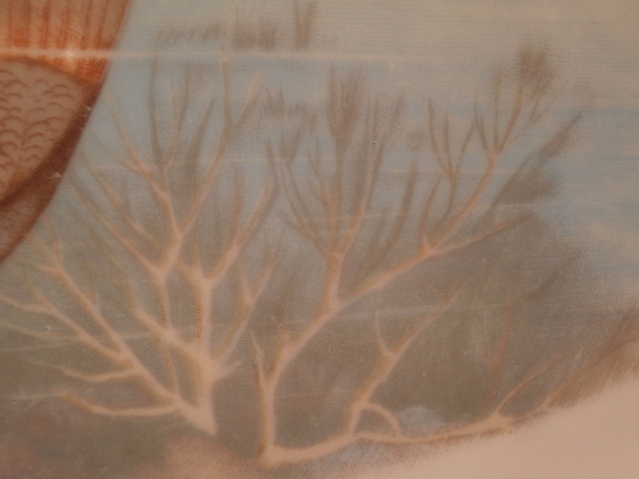 Bild 6 von 12