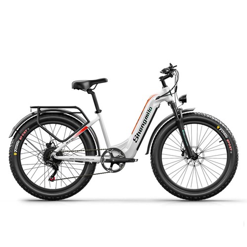 26 Zoll E Mountainbike 48V 17.5AH 25km/h Elektrofahrrad Damen/Herren City ebike - Bild 5 von 19