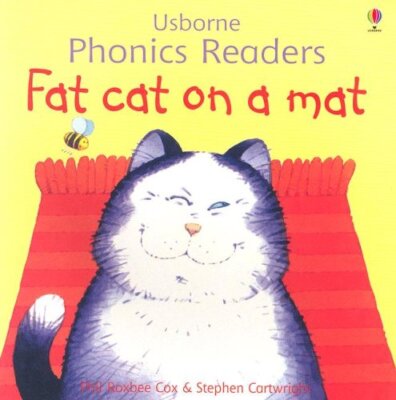 Fat Cat on a Mat (Easy Words t - Paperback - VERY GOOD