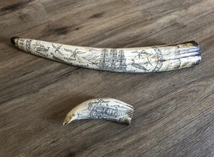 Walrus Tusks FAUX Replica RESIN Sculpture NEW BEDFORD Charles W. Morgan SHIP