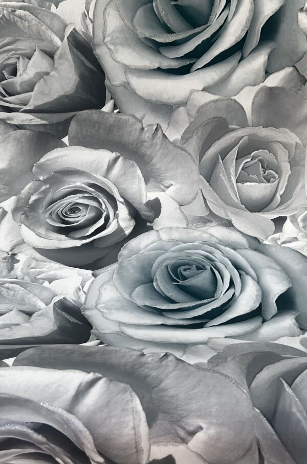 Bild 7 von 7