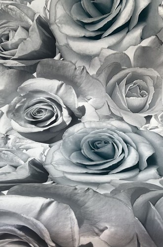 Tapete Rose Glitter Blüten blau grau Wandtapete RaumTapete Glitzer edel Blumen - Bild 7 von 7