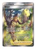 Pokemon Grant GG62/GG70 Crown Zenith: Galarian Gallery Ultra Rare