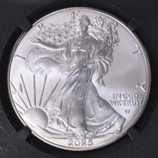 2025 1 oz American Silver Eagle Coin-With capsules