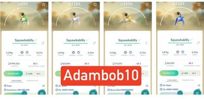 Pokémon Go -  Squawkabilly (Blue - Green - Yellow -White ) - PTC  or Trade