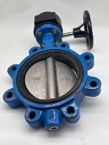 FMW FNW732BG Manual Butterfly Valve Size 6"