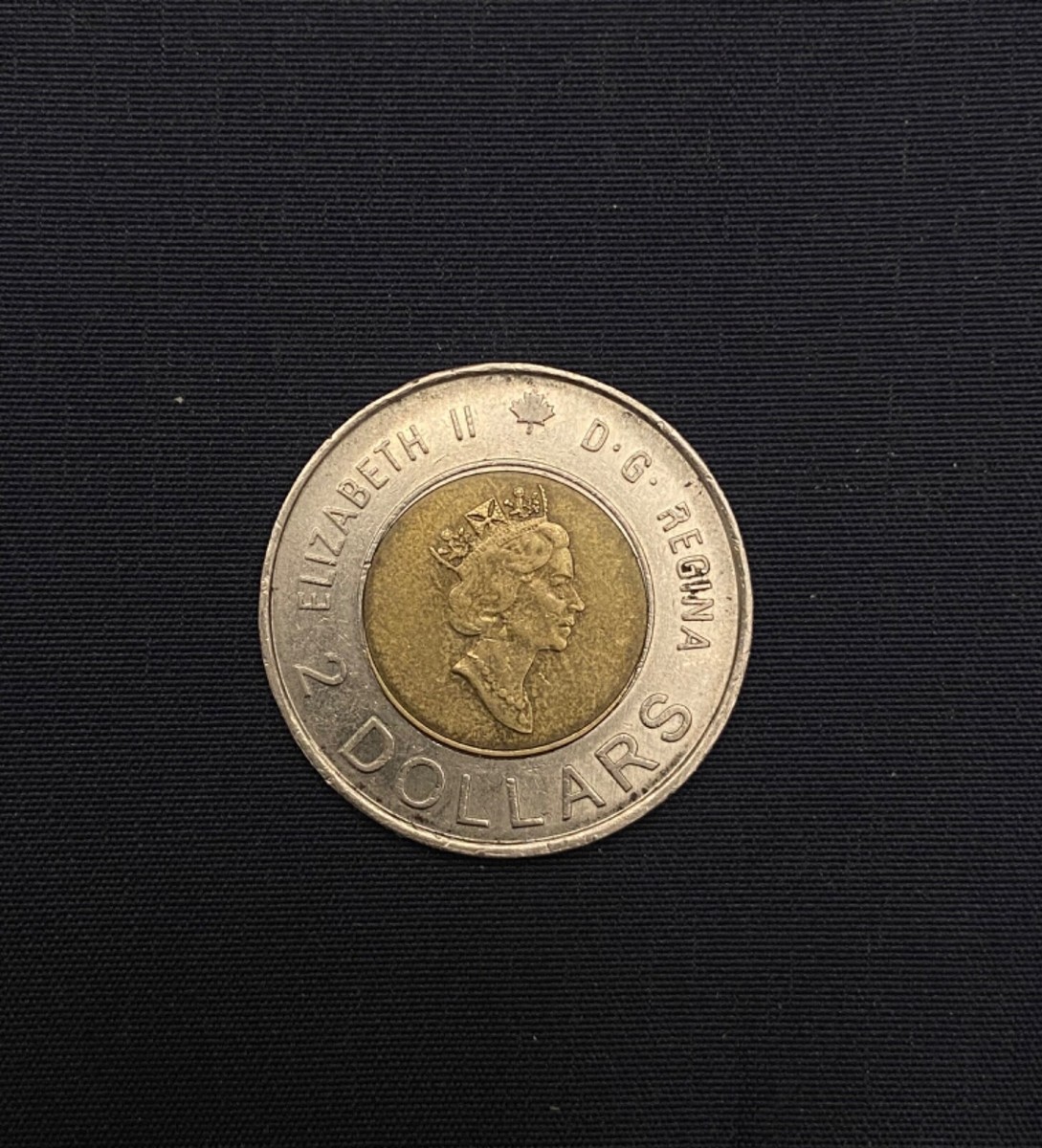 RARE 2000 ERROR Knowledge Toonie $2 Mother And Cubs Canadian Coin