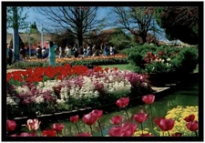 Vintage Postcard RPPC - Corbett Gardens, Bowral, N.S.W.