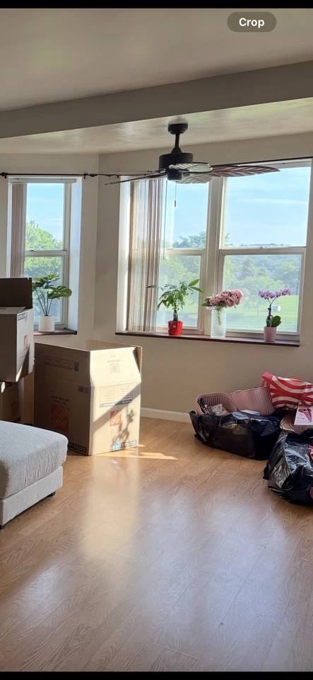 52 Inch Tropical Indoor Ceiling Fan with Pull Chain - Image 3 of 3