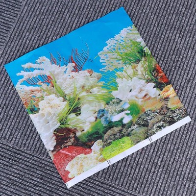  3D Aquarium Aquarium Ozean Landschaft Hintergrund Dekoration Tapete Wandkunst