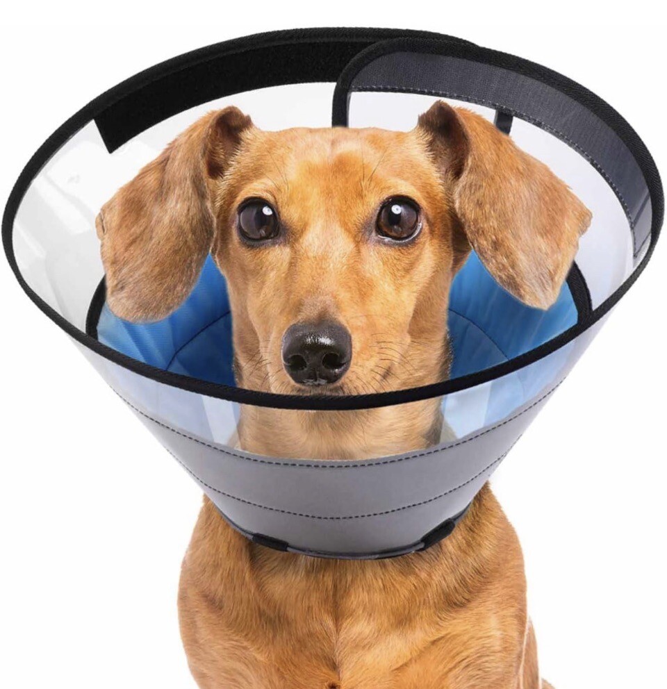 Dog Cone Collar Pets Anti Bite Lick for After Surgery Small Dogs soft See  Thru￼