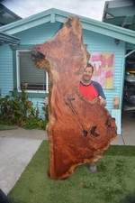 Ancient Redwood Burl Slab, Live Edge Table, River Table, Wall Art, 90 x 40 x 2