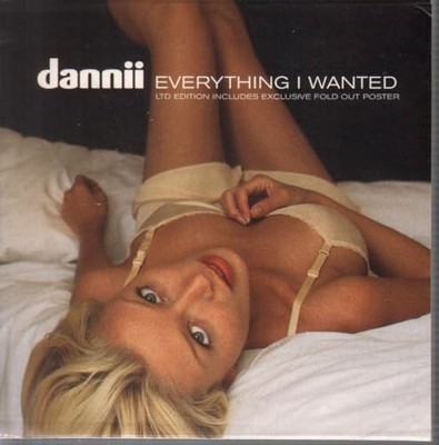 Trouser Enthusiasts - Everything I Wanted - Trouser Enthusiasts CD D5VG The Fast