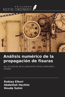Rabiaa Elkori (U. A.) | AnáLisis NuméRico De La PropagacióN De Fisuras | Buch